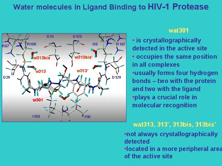 Water molecules in Ligand Binding to HIV-1 Protease wat 301 D 25 R 87