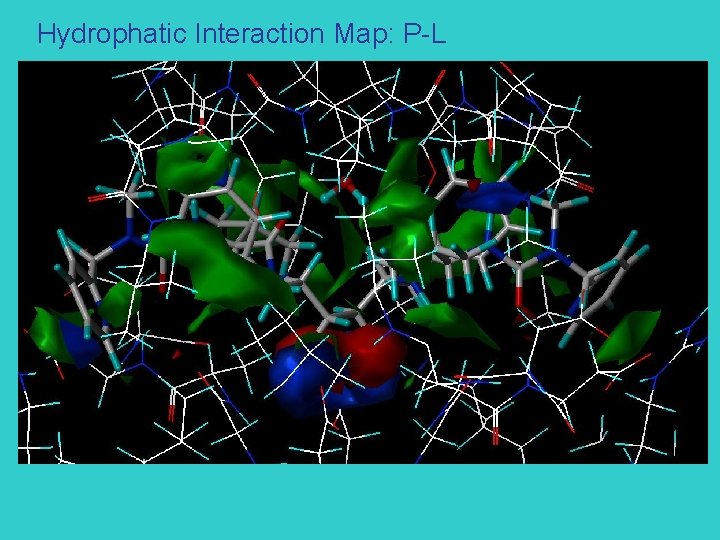 Hydrophatic Interaction Map: P-L 