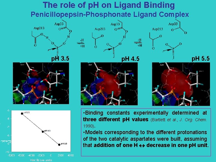 The role of p. H on Ligand Binding Penicillopepsin-Phosphonate Ligand Complex p. H 3.