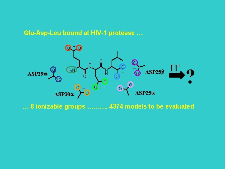 Glu-Asp-Leu bound at HIV-1 protease … O ASP 29 a O _ _ O