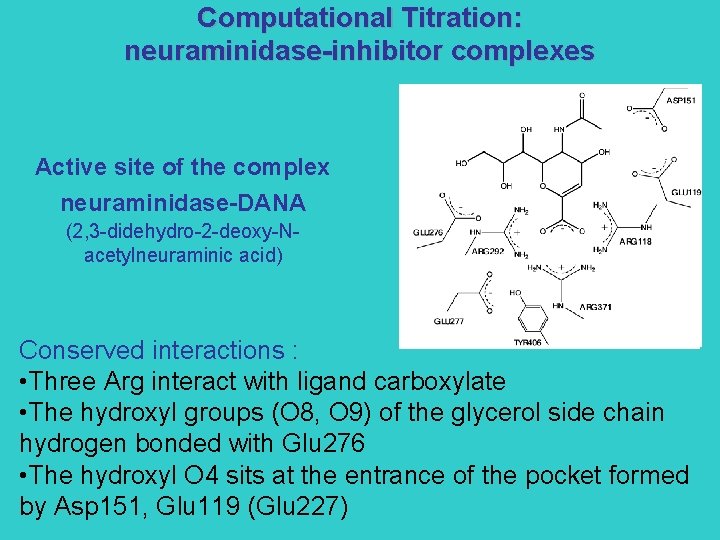 Computational Titration: neuraminidase-inhibitor complexes Active site of the complex neuraminidase-DANA (2, 3 -didehydro-2 -deoxy-Nacetylneuraminic