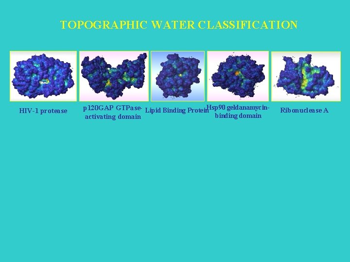 TOPOGRAPHIC WATER CLASSIFICATION HIV-1 protease p 120 GAP GTPase- Lipid Binding Protein. Hsp 90