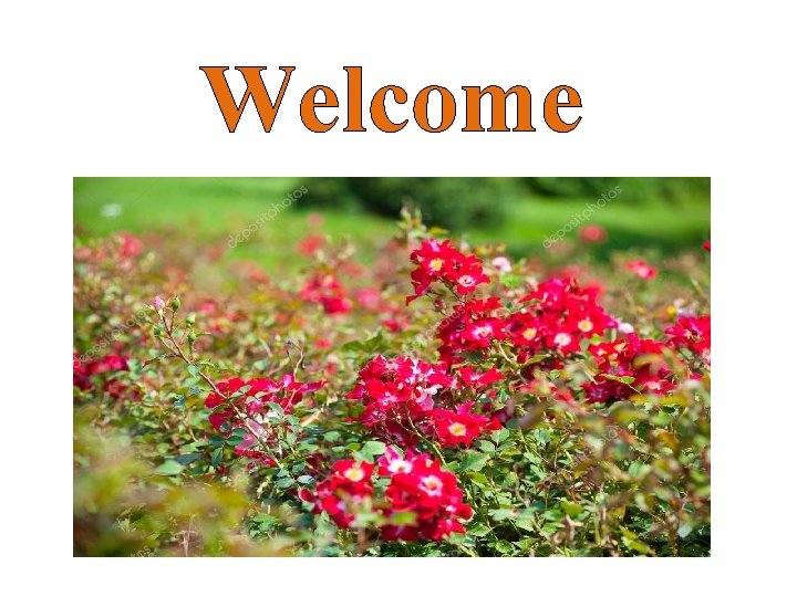 Welcome 