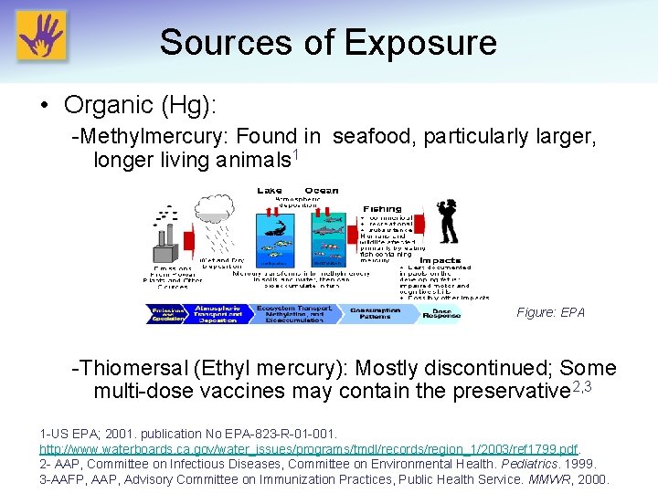 Sources of Exposure • Organic (Hg): -Methylmercury: Found in seafood, particularly larger, longer living