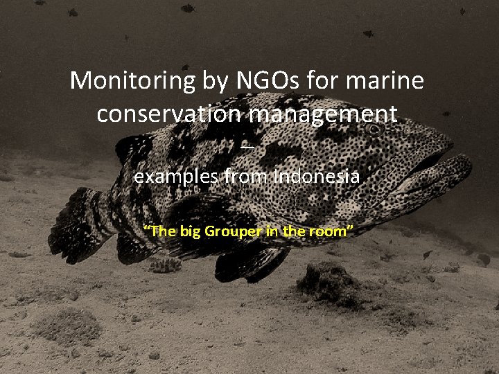 Monitoring by NGOs for marine conservation management – examples from Indonesia “The big Grouper
