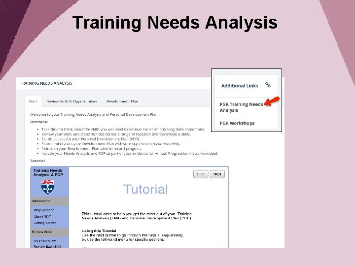 Training Needs Analysis 