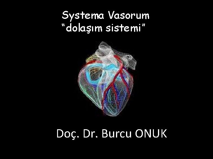 Systema Vasorum “dolaşım sistemi” Doç. Dr. Burcu ONUK 