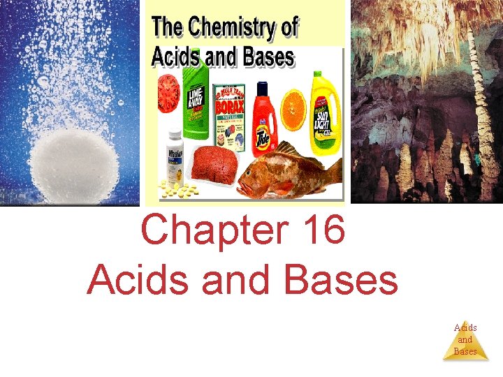 Chapter 16 Acids and Bases 