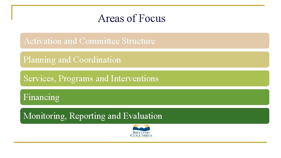 Areas of Focus: Areas of Focus Activation and Committee Structure Planning and Coordination Services, Areas of Focus: Areas of Focus Activation and Committee Structure Planning and Coordination Services,