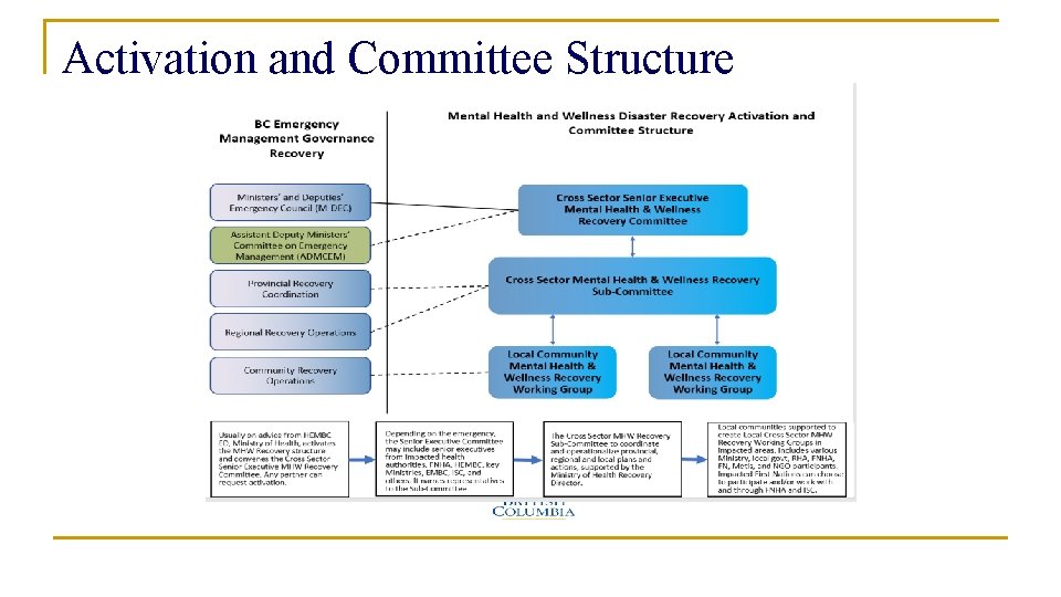 Activation and Committee Structure Activation and Committee Structure