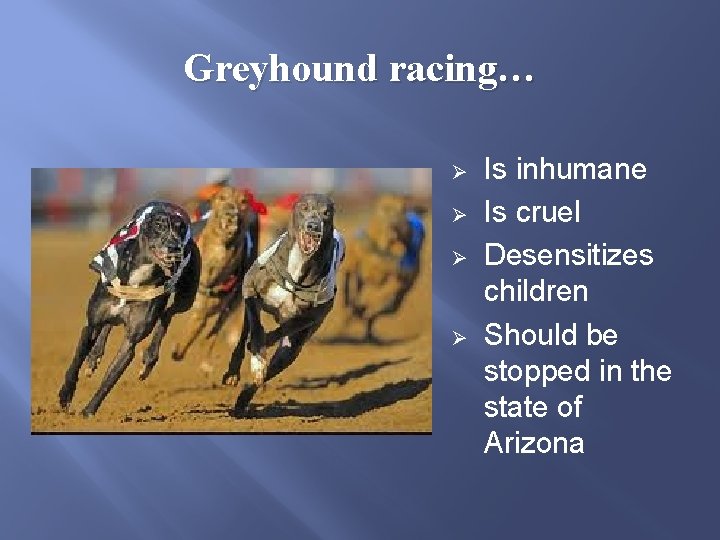 Greyhound racing… Ø Ø Is inhumane Is cruel Desensitizes children Should be stopped in