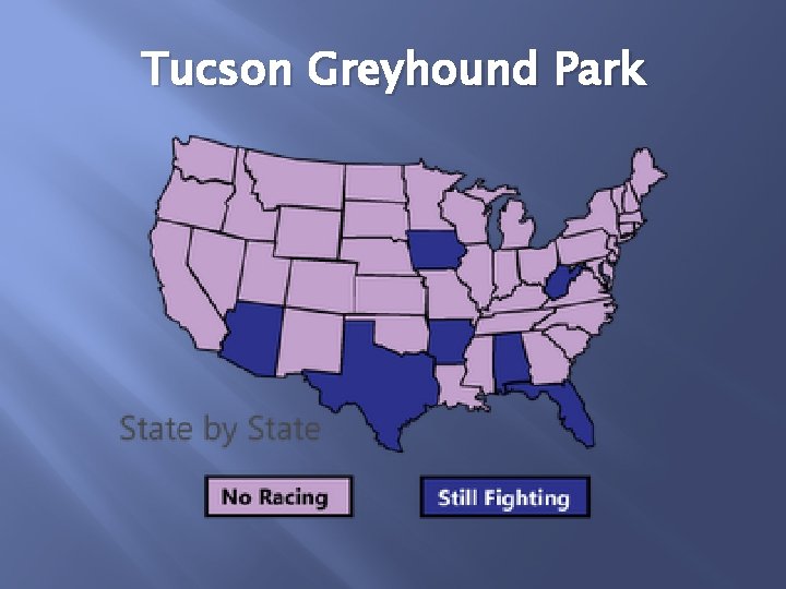 Tucson Greyhound Park 