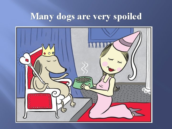 Many dogs are very spoiled 