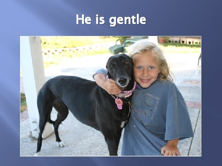 He is gentle 