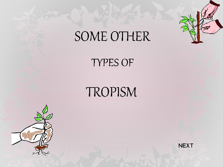 SOME OTHER TYPES OF TROPISM NEXT 