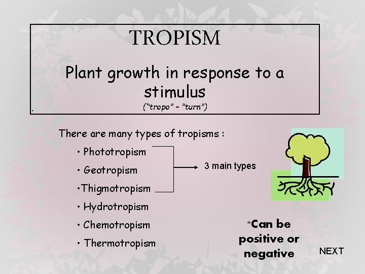 TROPISM Plant growth in response to a stimulus (“tropo” – ”turn”) . There are