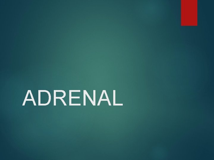 ADRENAL 