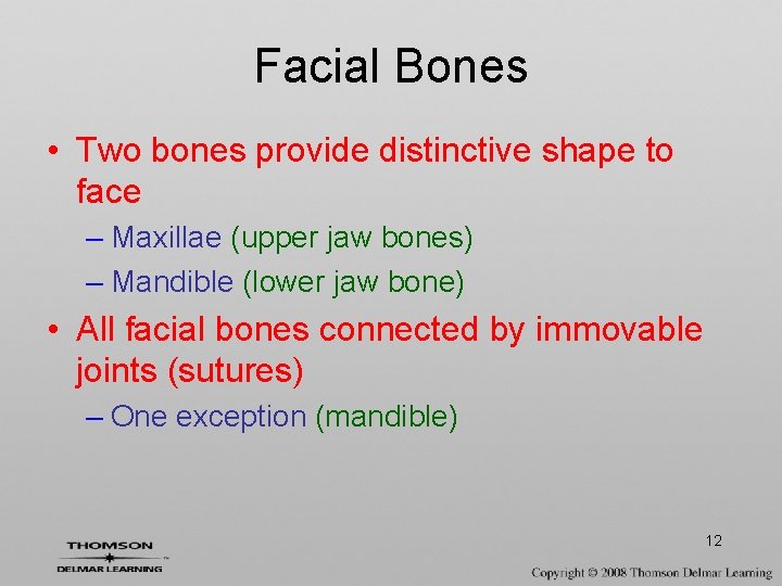 Facial Bones • Two bones provide distinctive shape to face – Maxillae (upper jaw