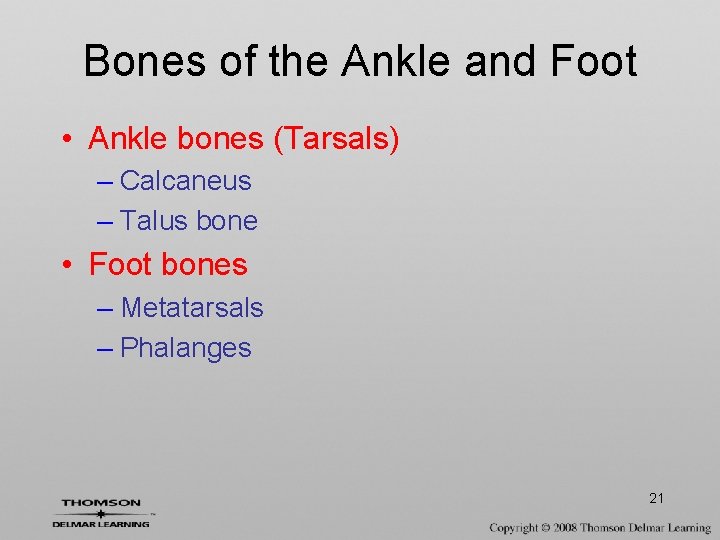 Bones of the Ankle and Foot • Ankle bones (Tarsals) – Calcaneus – Talus