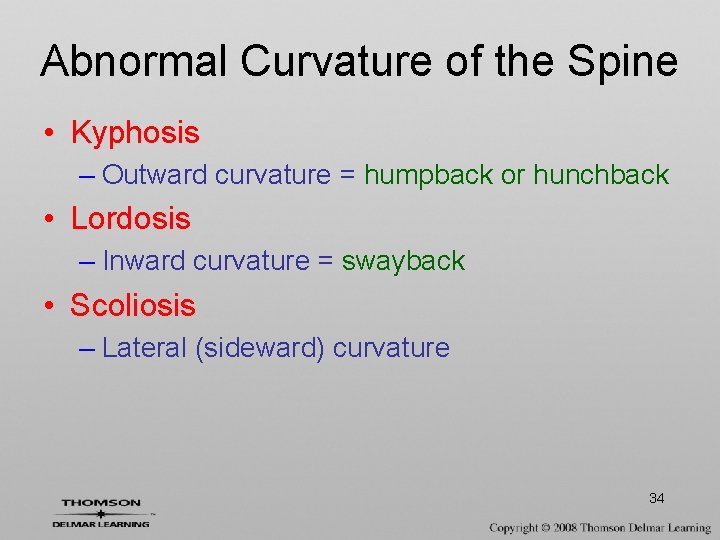 Abnormal Curvature of the Spine • Kyphosis – Outward curvature = humpback or hunchback
