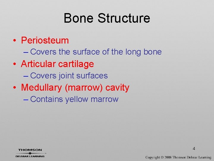 Bone Structure • Periosteum – Covers the surface of the long bone • Articular
