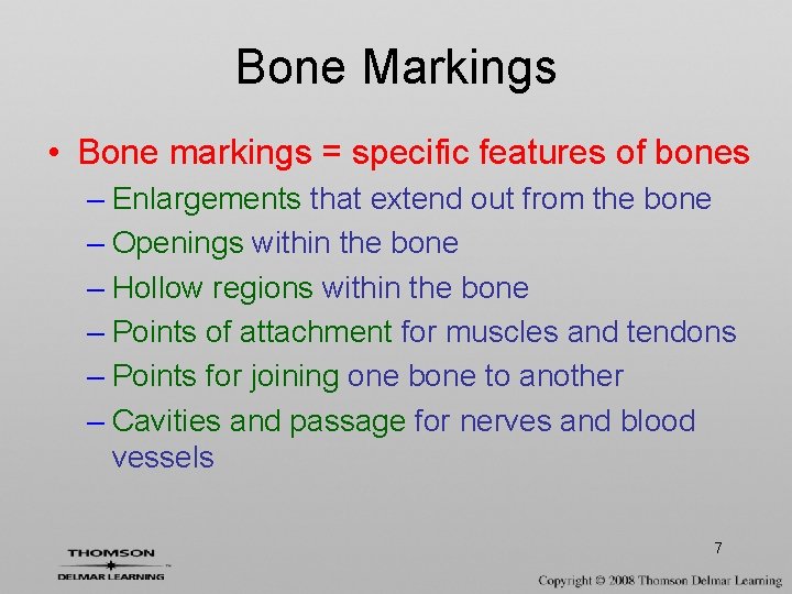 Bone Markings • Bone markings = specific features of bones – Enlargements that extend