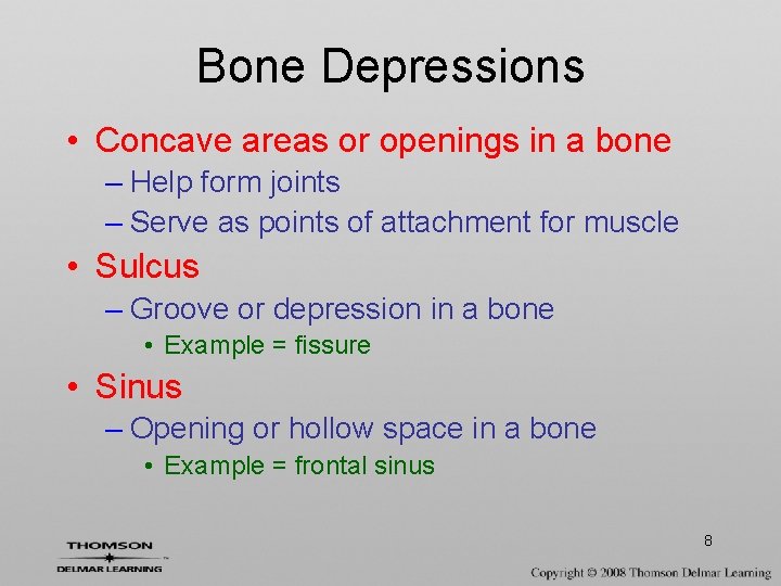 Bone Depressions • Concave areas or openings in a bone – Help form joints