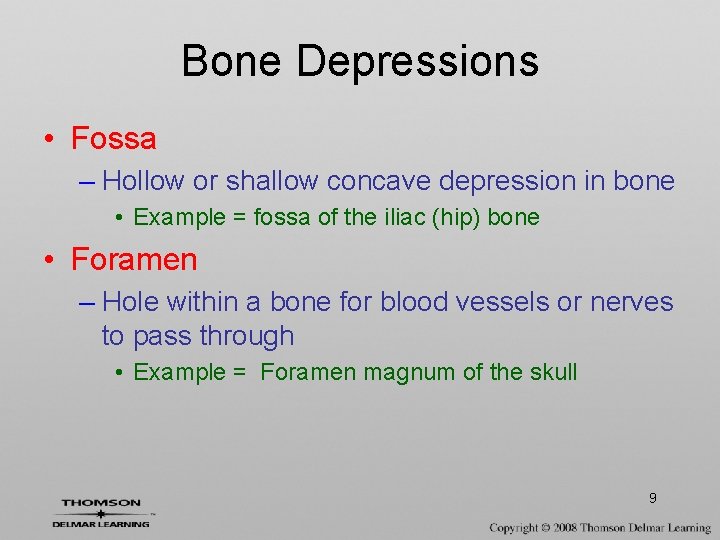 Bone Depressions • Fossa – Hollow or shallow concave depression in bone • Example