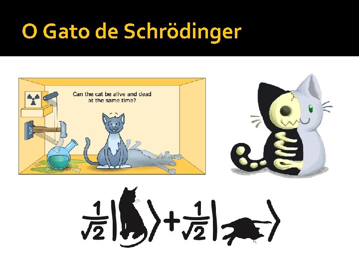 O Gato de Schrödinger 