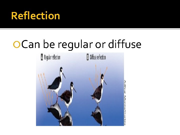 Reflection Can be regular or diffuse Reflection Can be regular or diffuse