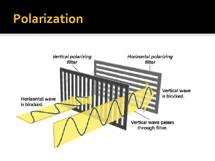 Polarization Polarization