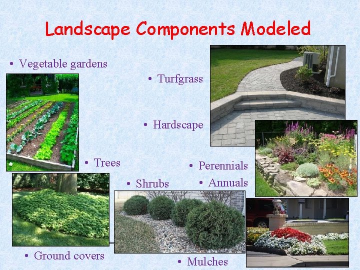 Value Landscape Engineering VLE Lifecycle Analysis David Rosenberg