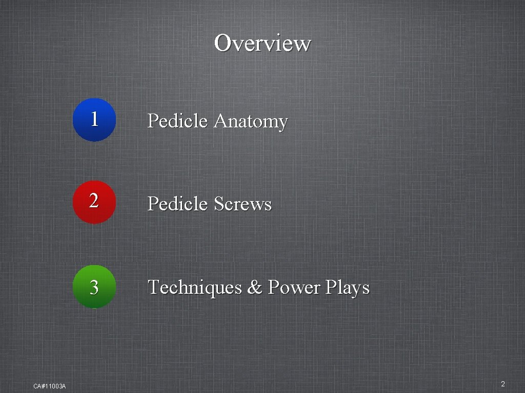 Overview CA#11003 A 1 Pedicle Anatomy 2 Pedicle Screws 3 Techniques & Power Plays