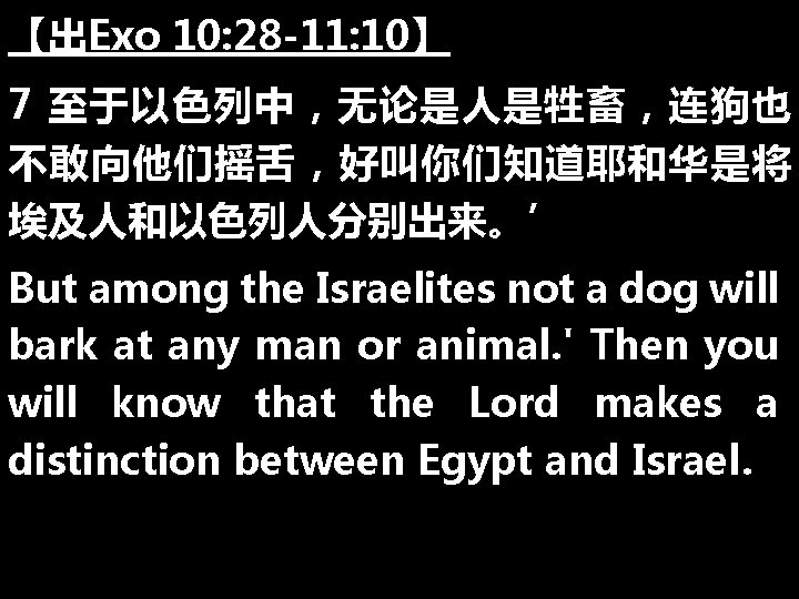 【出Exo 10: 28 -11: 10】 7 至于以色列中，无论是人是牲畜，连狗也 不敢向他们摇舌，好叫你们知道耶和华是将 埃及人和以色列人分别出来。’ But among the Israelites not