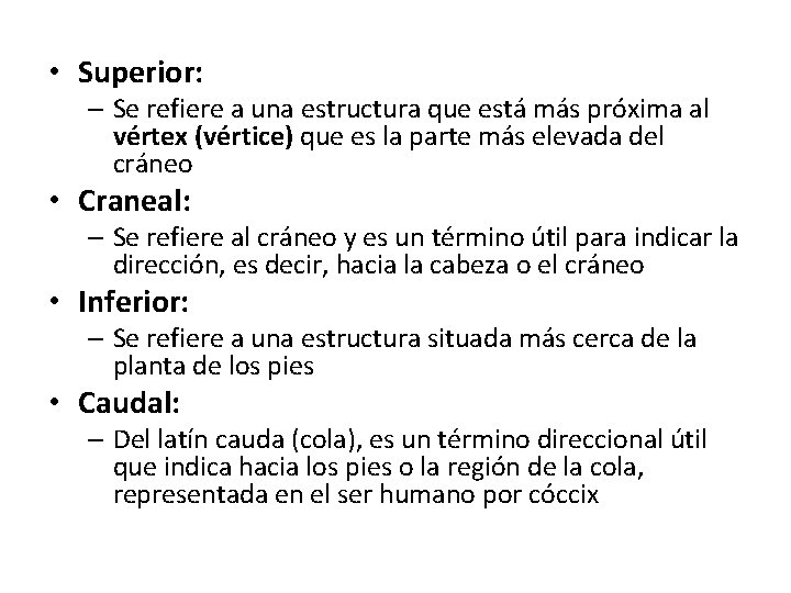  • Superior: – Se refiere a una estructura que está más próxima al