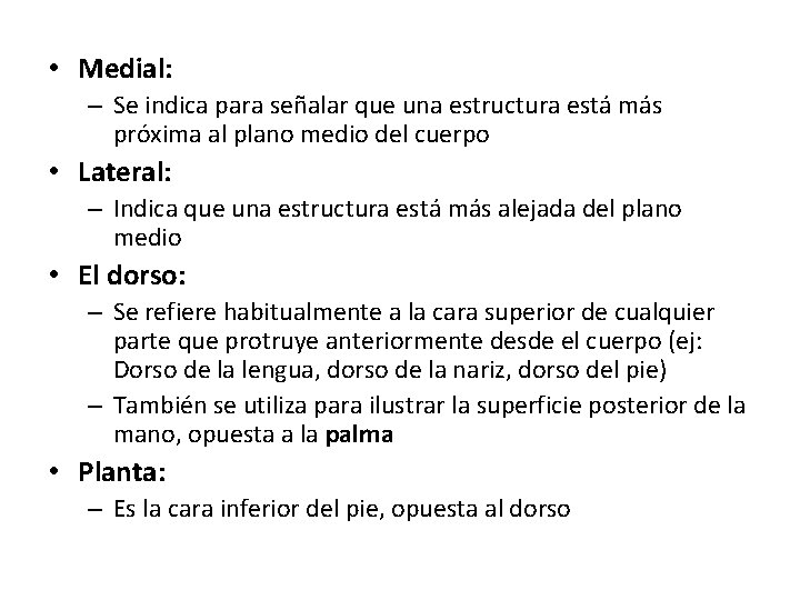  • Medial: – Se indica para señalar que una estructura está más próxima