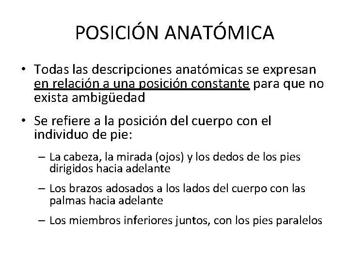 POSICIÓN ANATÓMICA • Todas las descripciones anatómicas se expresan en relación a una posición