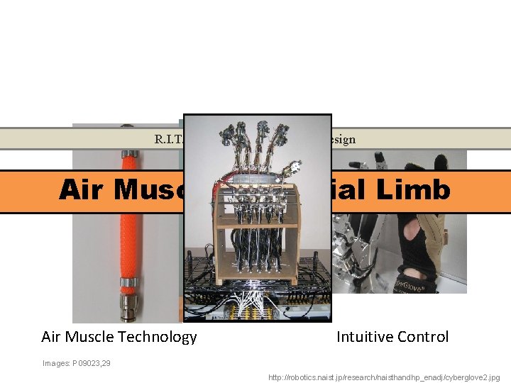 R. I. T. Multidisciplinary Senior Design Air Muscle Artificial Limb Developing a. Combining Scalable
