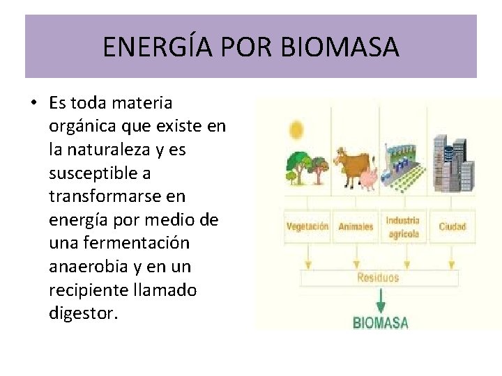 ENERGÍA POR BIOMASA • Es toda materia orgánica que existe en la naturaleza y ENERGÍA POR BIOMASA • Es toda materia orgánica que existe en la naturaleza y