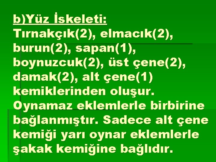 b)Yüz İskeleti: Tırnakçık(2), elmacık(2), burun(2), sapan(1), boynuzcuk(2), üst çene(2), damak(2), alt çene(1) kemiklerinden oluşur.