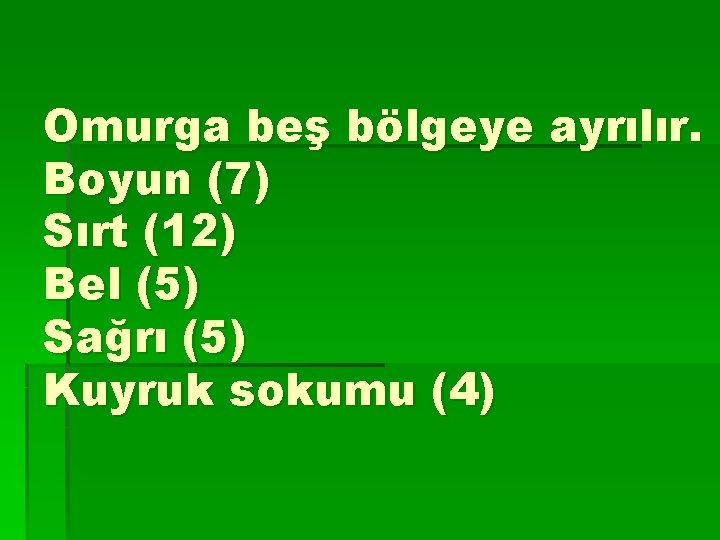 Omurga beş bölgeye ayrılır. Boyun (7) Sırt (12) Bel (5) Sağrı (5) Kuyruk sokumu