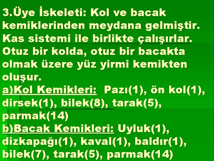 3. Üye İskeleti: Kol ve bacak kemiklerinden meydana gelmiştir. Kas sistemi ile birlikte çalışırlar.