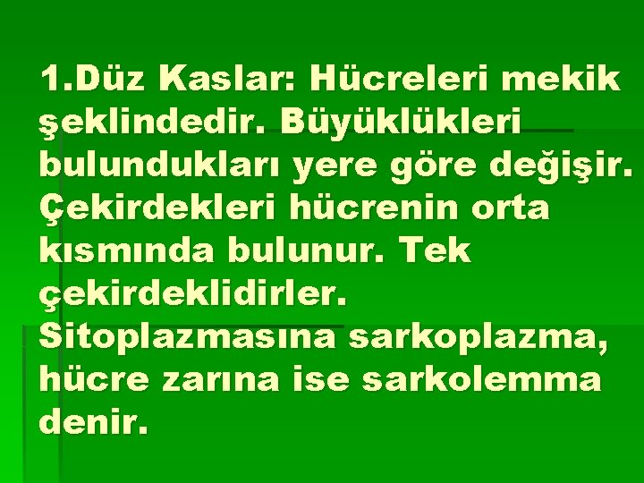 1. Düz Kaslar: Hücreleri mekik şeklindedir. Büyüklükleri bulundukları yere göre değişir. Çekirdekleri hücrenin orta