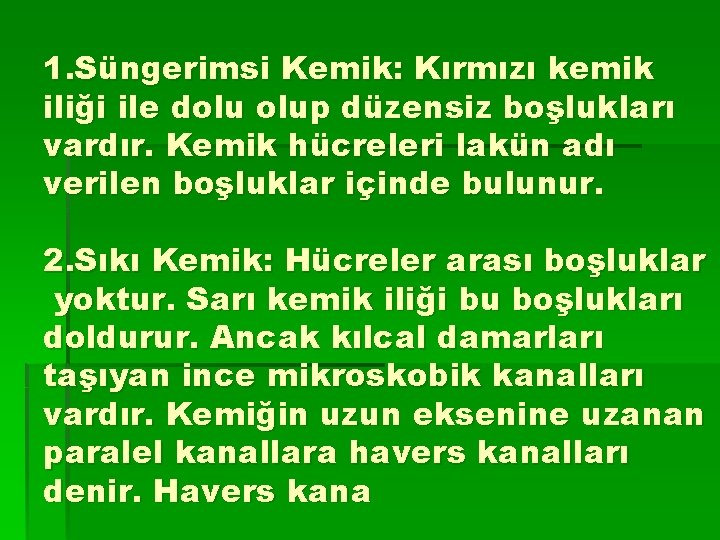 1. Süngerimsi Kemik: Kırmızı kemik iliği ile dolu olup düzensiz boşlukları vardır. Kemik hücreleri