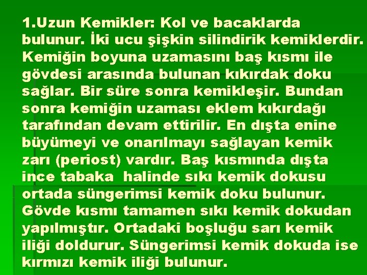 1. Uzun Kemikler: Kol ve bacaklarda bulunur. İki ucu şişkin silindirik kemiklerdir. Kemiğin boyuna