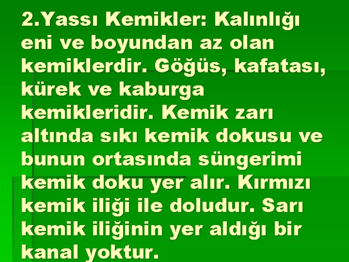 2. Yassı Kemikler: Kalınlığı eni ve boyundan az olan kemiklerdir. Göğüs, kafatası, kürek ve