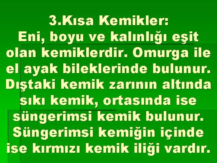 3. Kısa Kemikler: Eni, boyu ve kalınlığı eşit olan kemiklerdir. Omurga ile el ayak