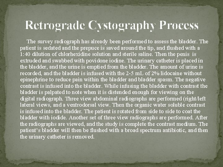 Retrograde Cystography Process The survey radiograph has already been performed to assess the bladder.