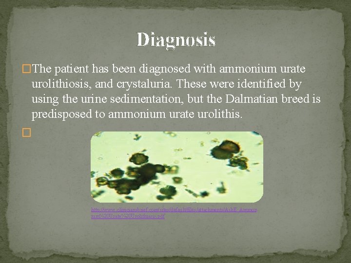Diagnosis �The patient has been diagnosed with ammonium urate urolithiosis, and crystaluria. These were