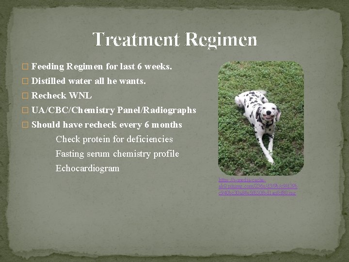 Treatment Regimen � Feeding Regimen for last 6 weeks. � Distilled water all he